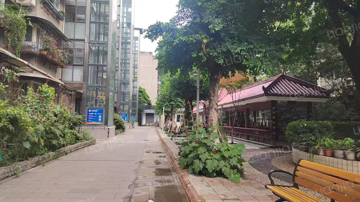 大石西一街19号外景图