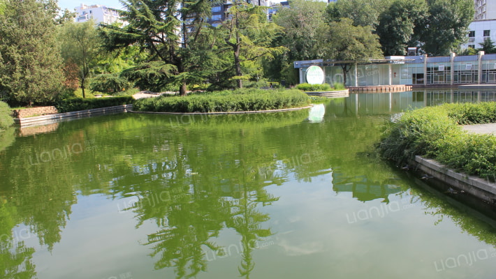 净土胡同外景图