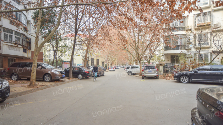 文化绿城外景图