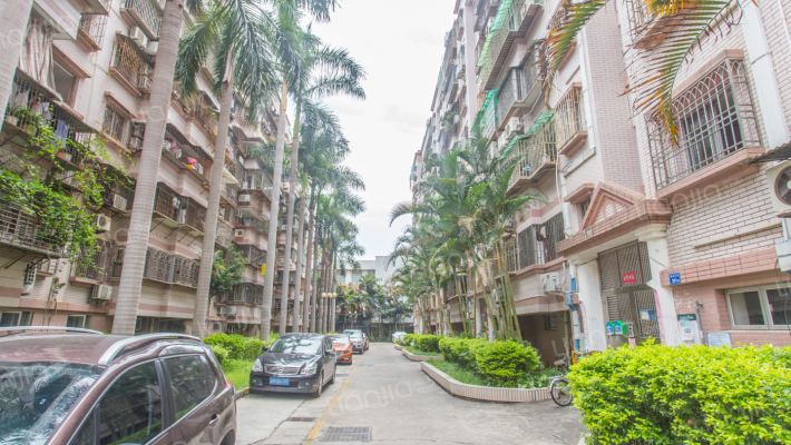 南湖花园外景图