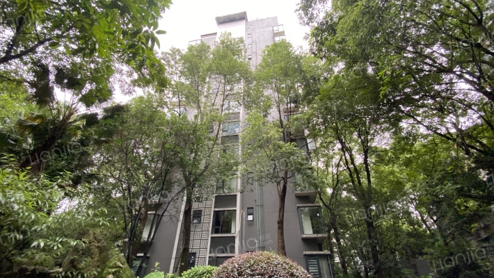 棠湖帝景外景图