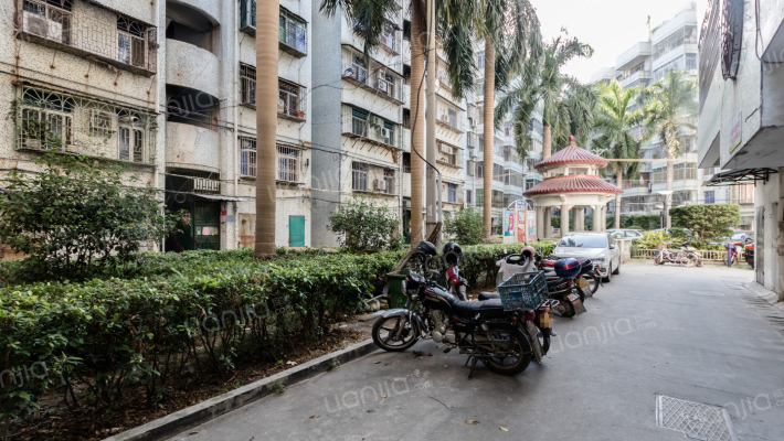 西池小区外景图