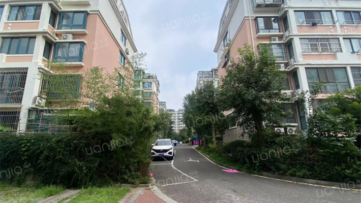 唐街映象外景图