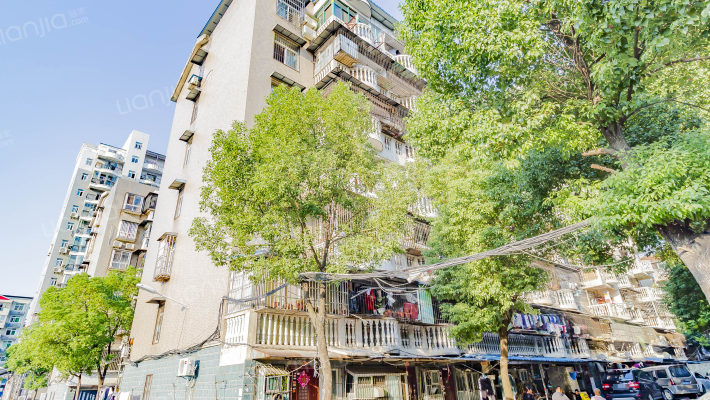 田园芳邻外景图