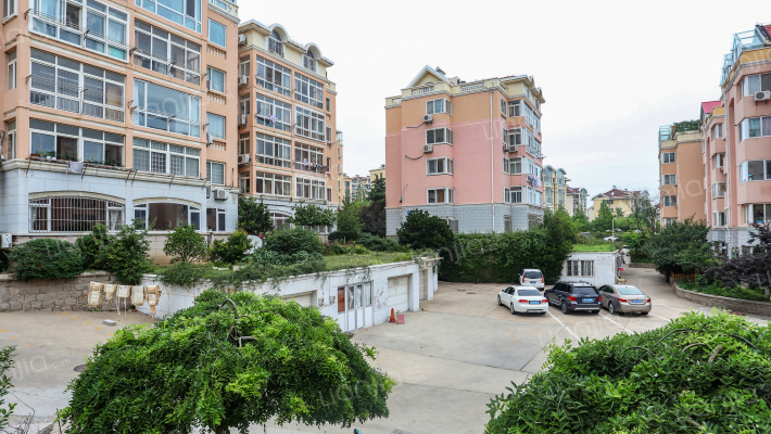 建飞花园一期外景图