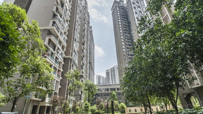 东湖国际外景图