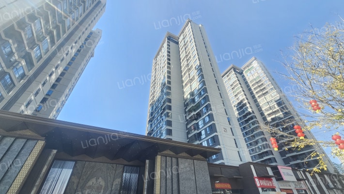 龙湖天宸原著二期外景图