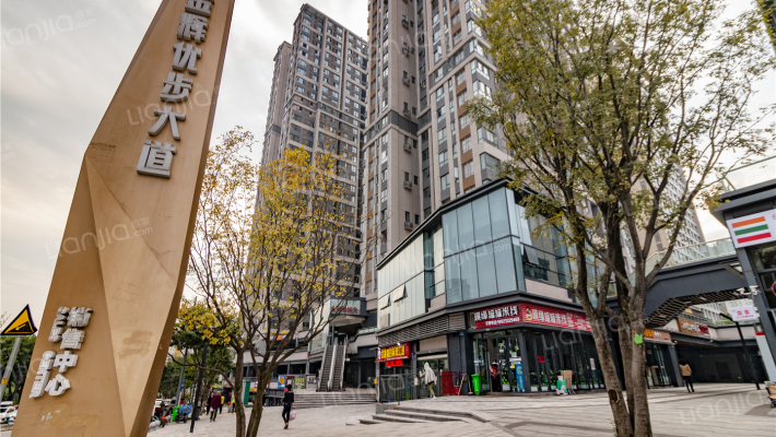 金辉优步大道外景图