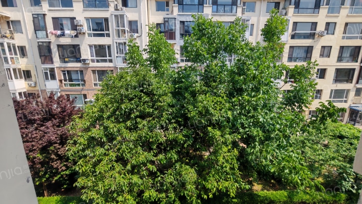 锦城西园外景图