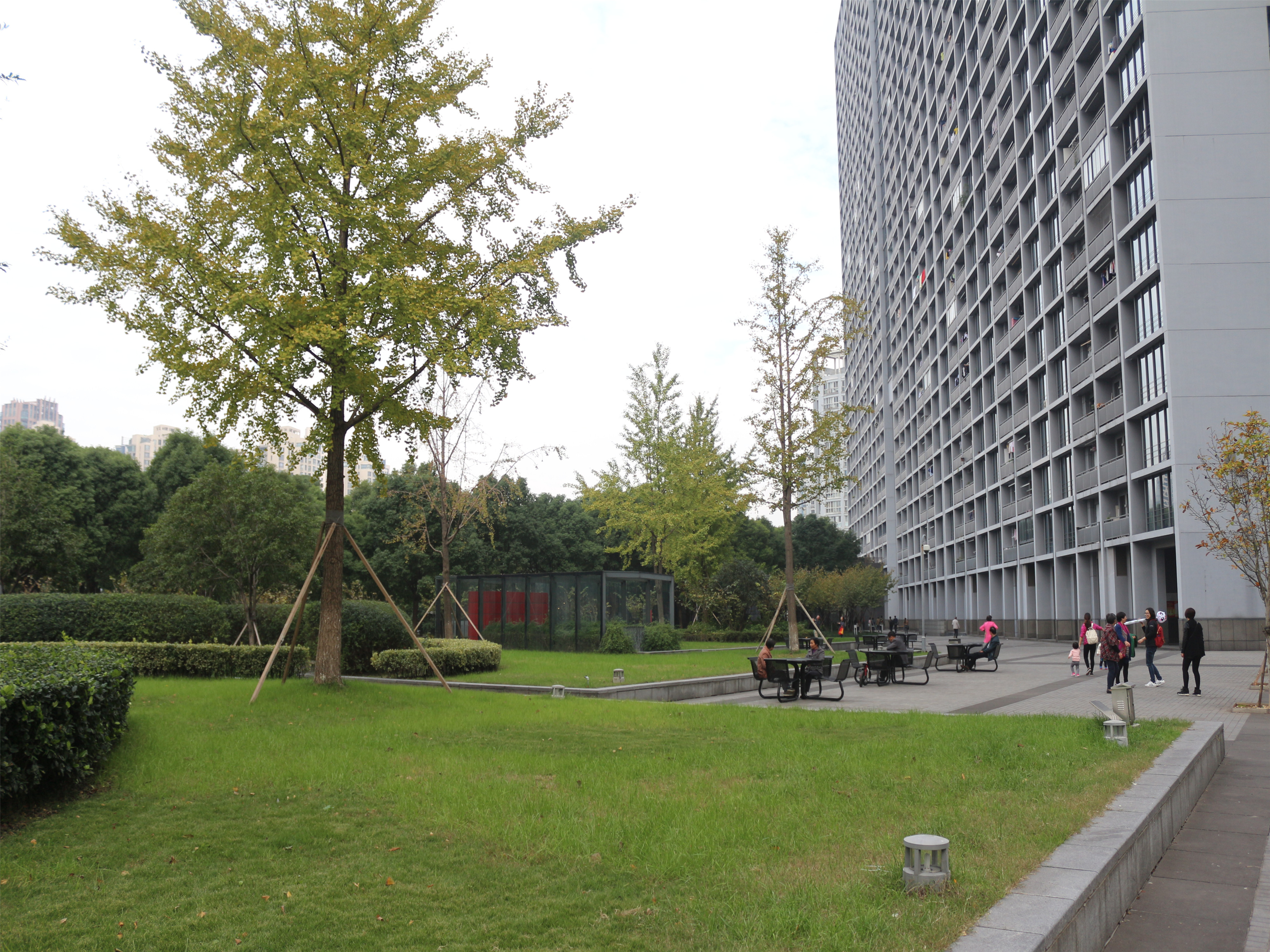 Beyond City compound photo 14