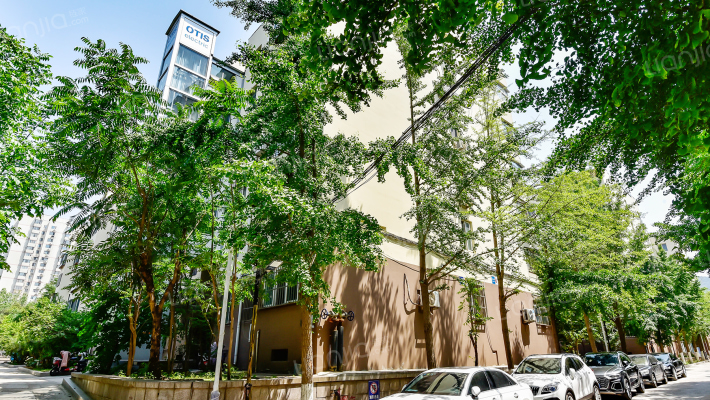 经十路17513号外景图