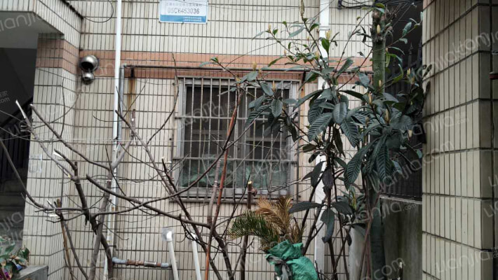 利西路123号外景图