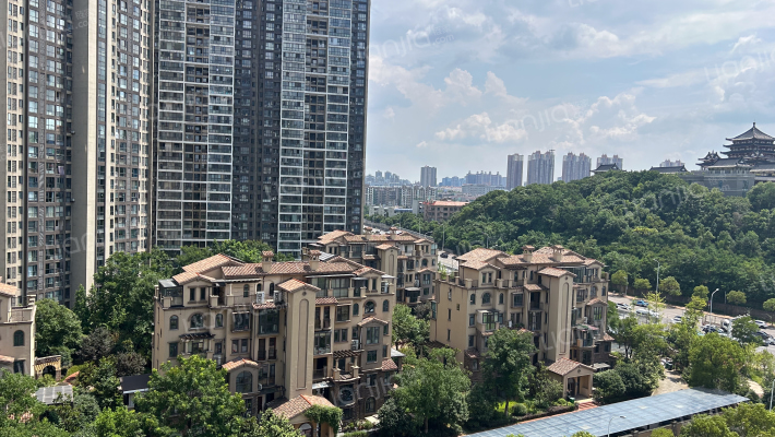 融科东南海外景图