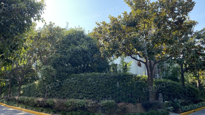 现代缘墅外景图