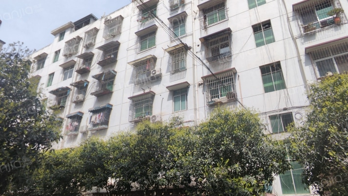 金龙巷55号外景图