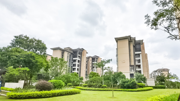 星河传奇外景图