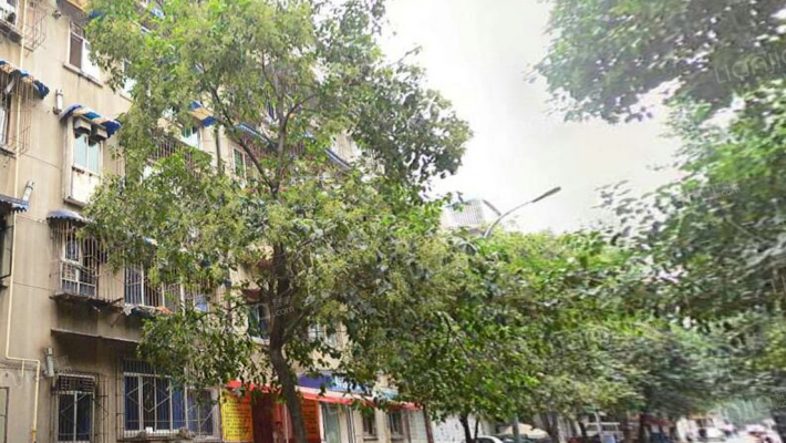 仁厚街17号外景图