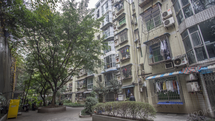 龙华商厦外景图