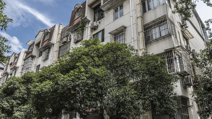 曙光路三弄外景图