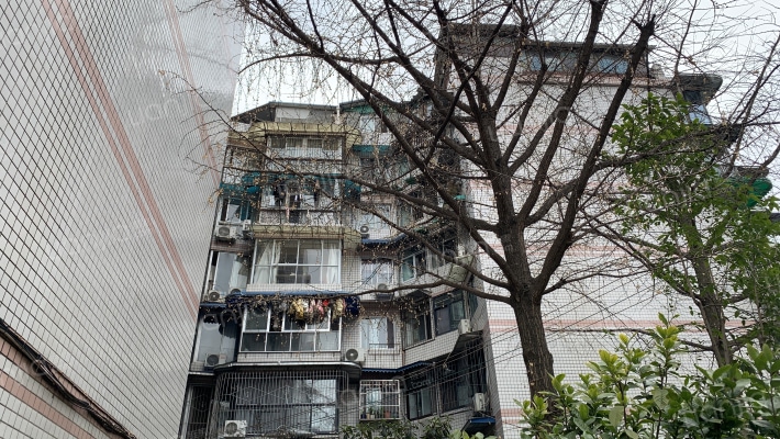 玉林人家外景图