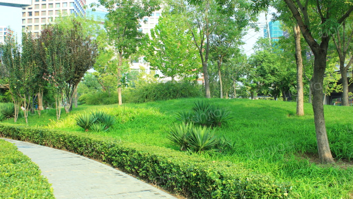 西香河园外景图