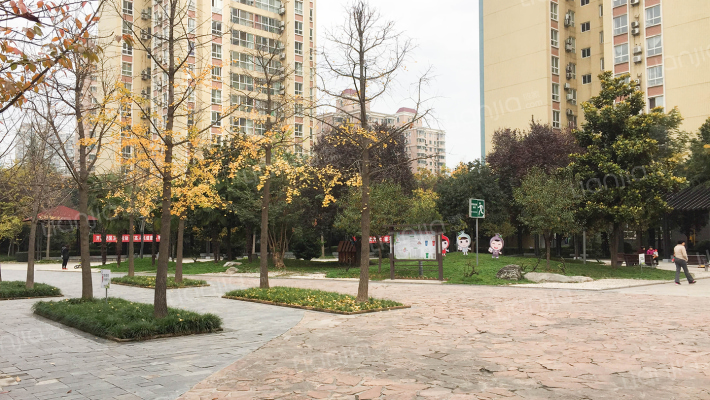 枫叶新新家园外景图