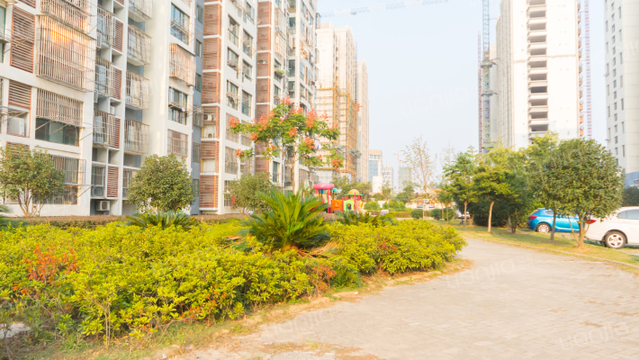 石羊新寓外景图