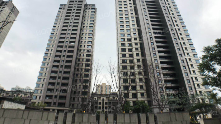 金地大运宸府外景图