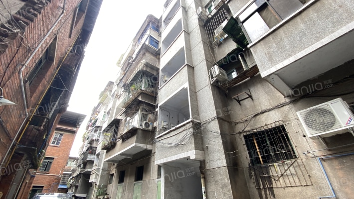 安象街209号外景图