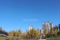 富力又一城C区户型图实景图