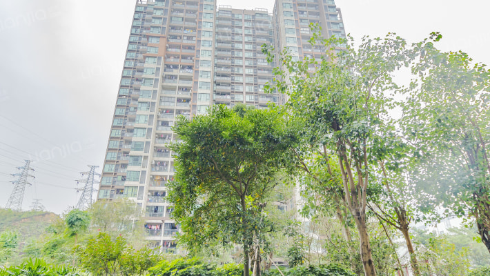 旭日印象外景图