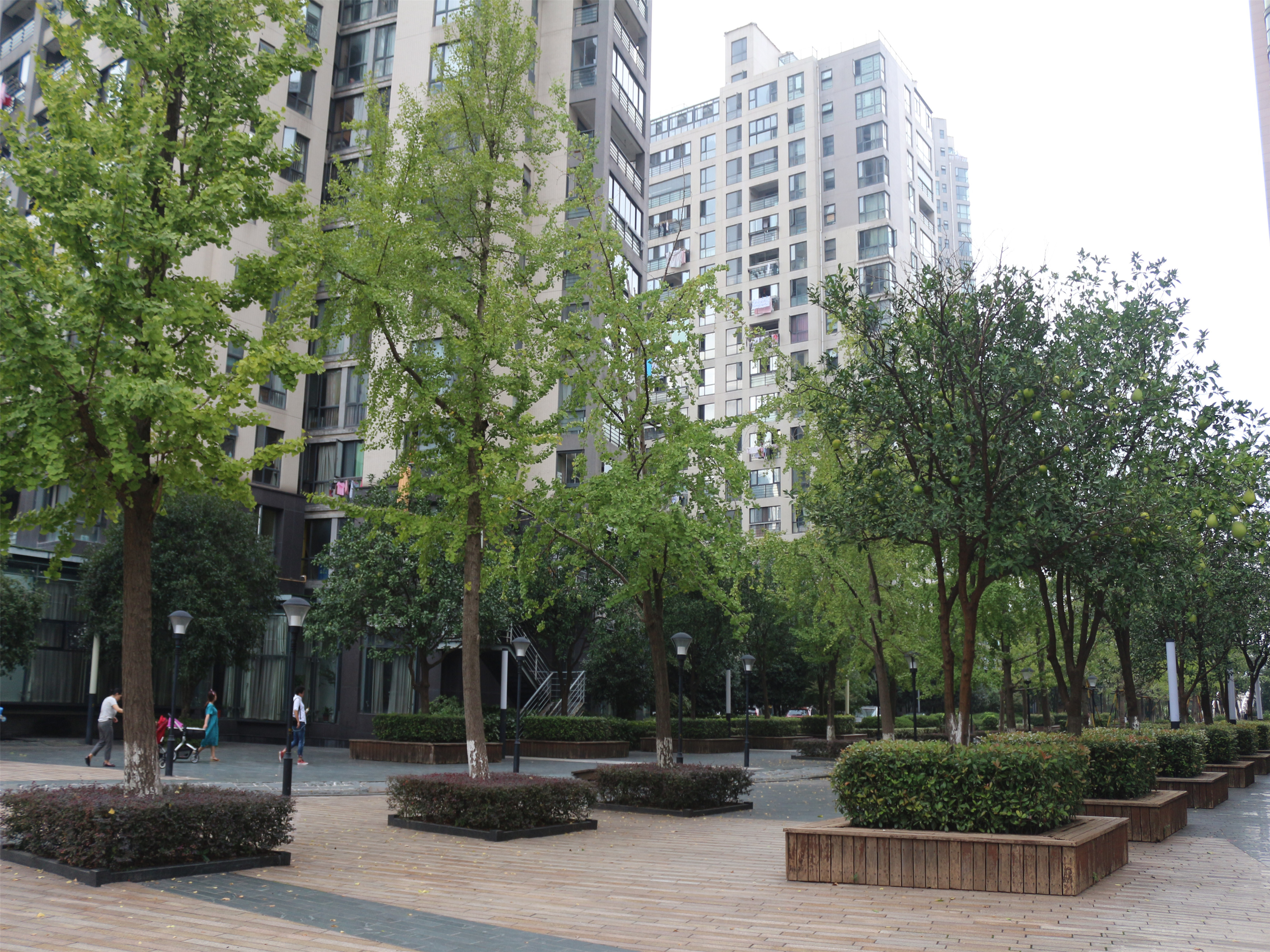 彩虹城小区实景 14