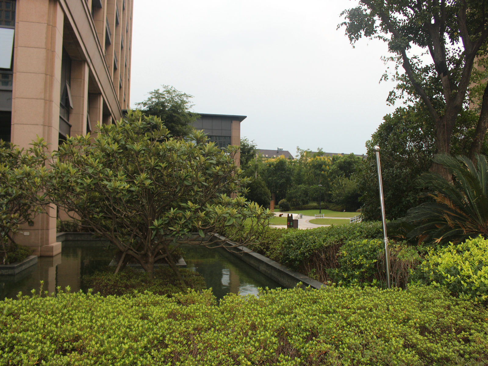 西城纪小区实景 20