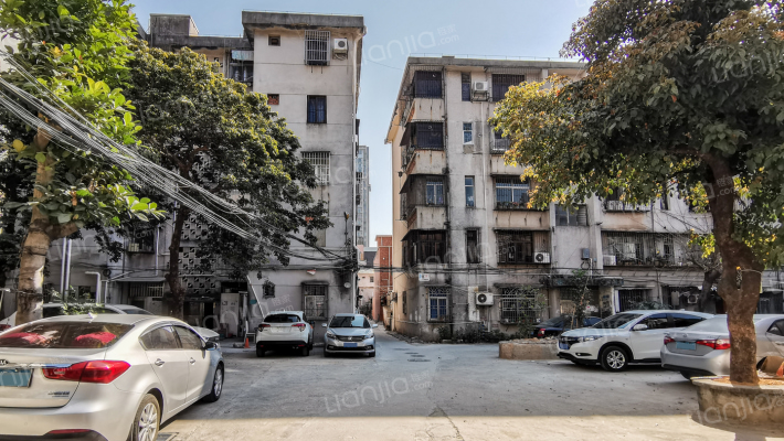 侨岭街二巷外景图