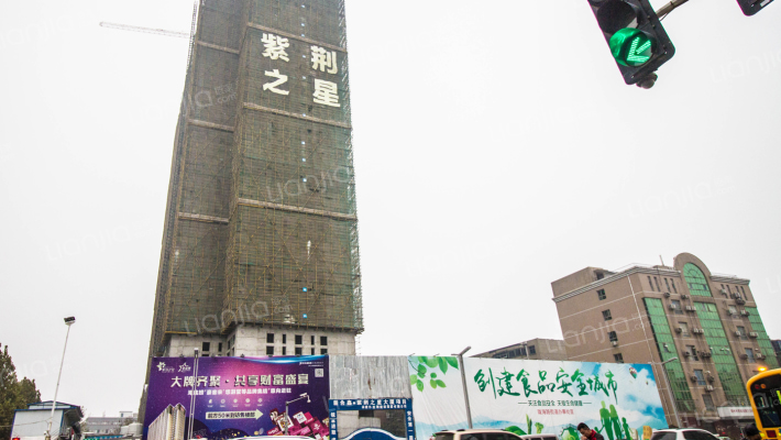 紫荆之星外景图