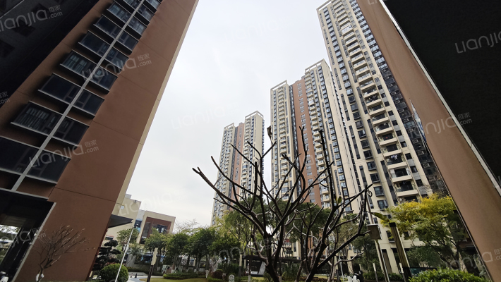 海德琥珀台外景图