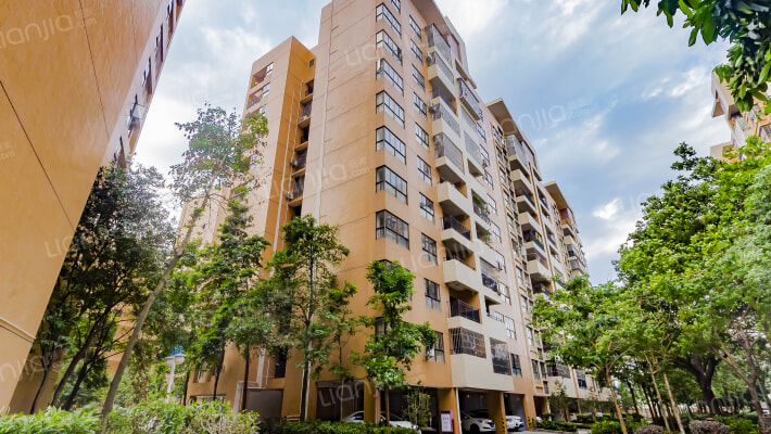 鸿基华庭外景图