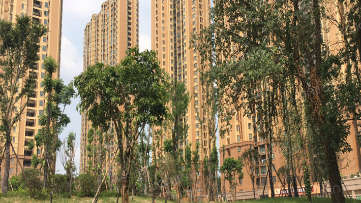 汇厦少城琴台府外景图