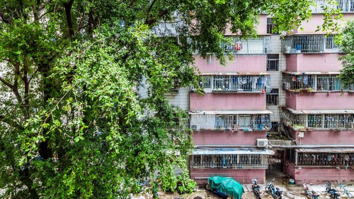 南园德源花园外景图