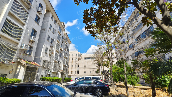 汤家弄散盘外景图