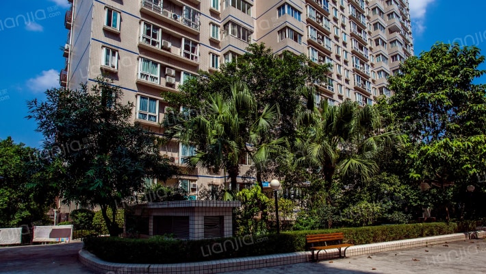 鱼洞滨江路外景图