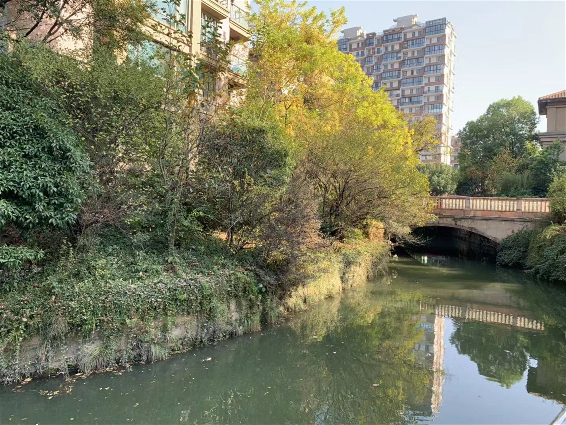 瑞金华庭嘉苑小区实景 19