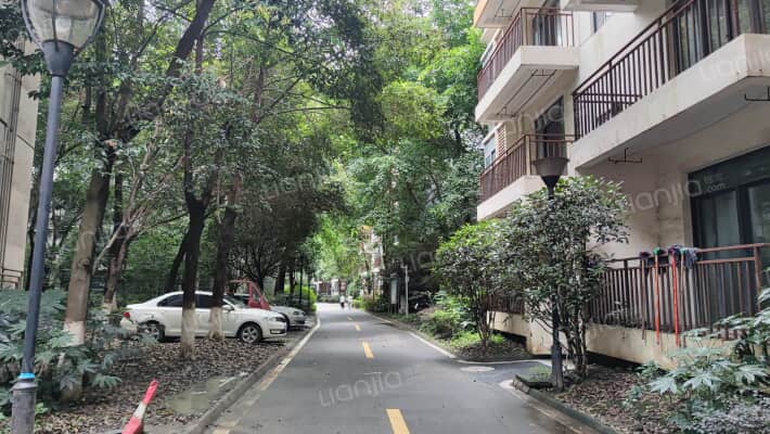 碧林香堤外景图