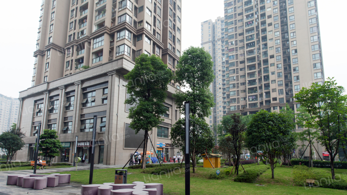 和泓阳光外景图