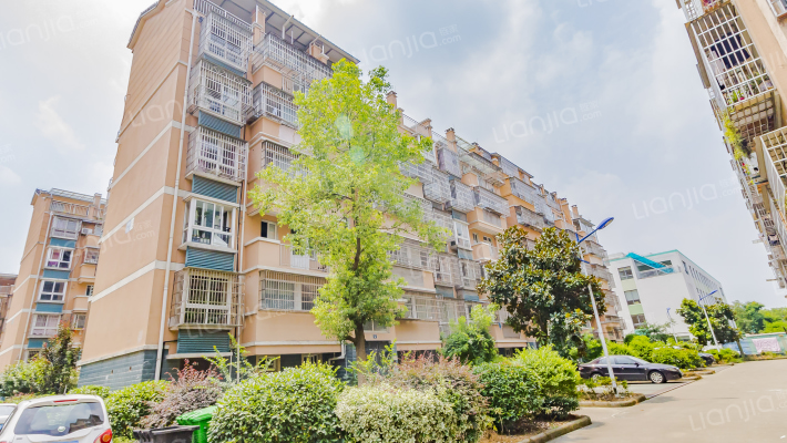 上阵新村外景图