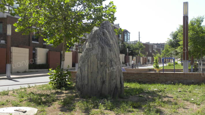 中体奥林匹克花园三期外景图