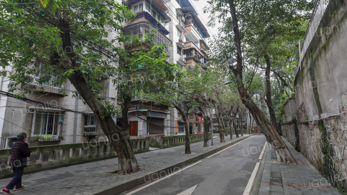 静宁路社区外景图