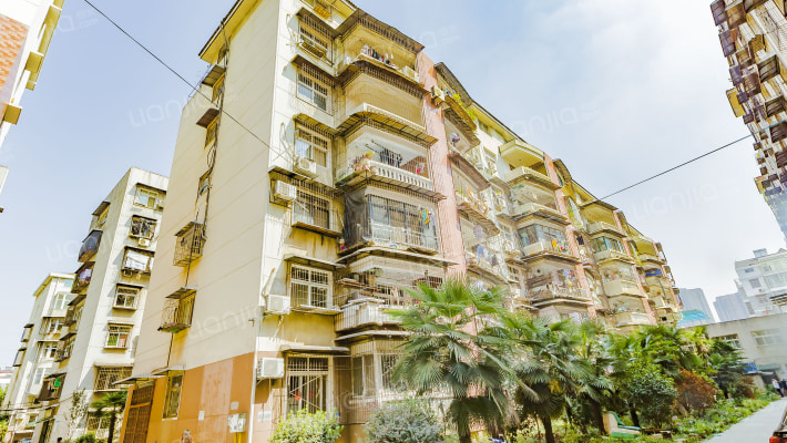 蔡甸大街196号外景图