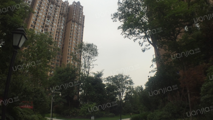 成功红树林外景图