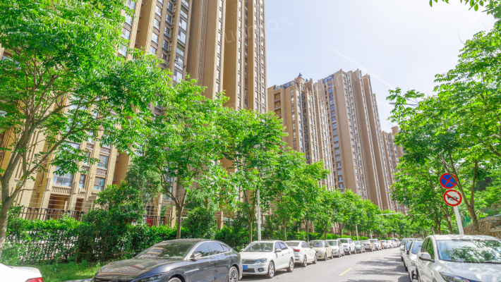 紫榭丽舍二期外景图